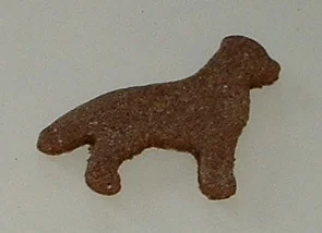 Chocolate_Labradors.JPG