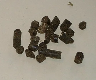 Kat_Weed_Pellets.JPG