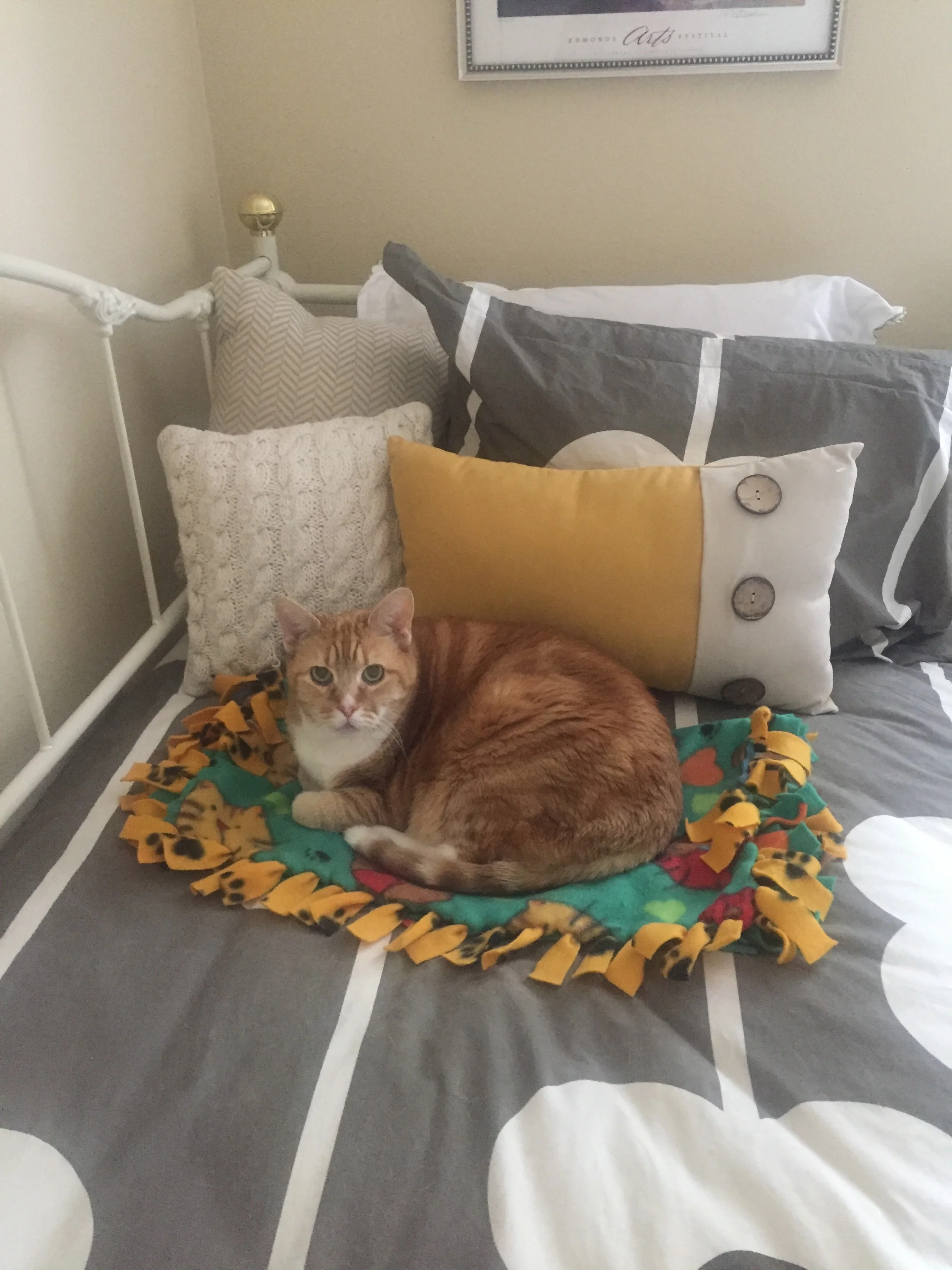 Just wanted to share this photo of my kitty enjoying his new blanket from the Edmonds Arts Festival 2018! Oscar loves snuggling up in the cozy fleece! Thanks you sooooooo much! Marcie Lyle Edmonds, WA USA 2018