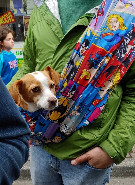 Comics Heros Pet Sling.jpg