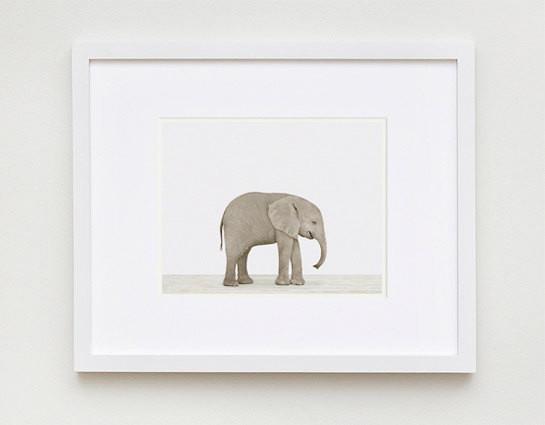 baby elephant print