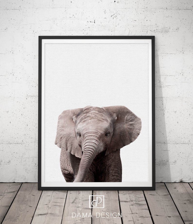 baby elephant nursery print