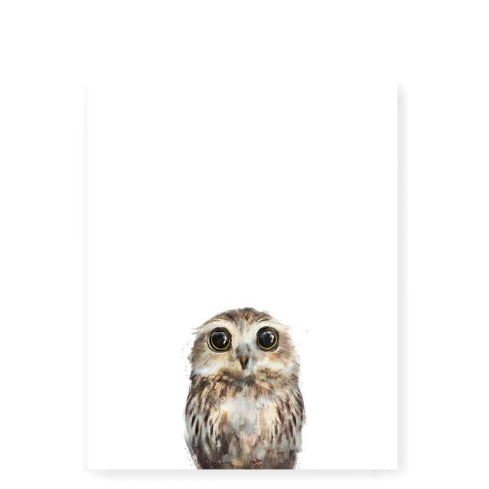 little owl canvas print