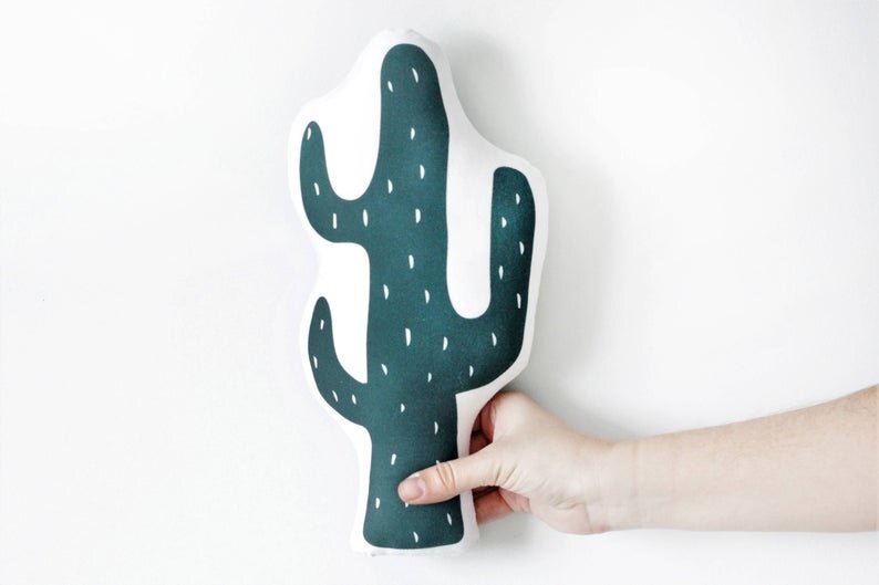 cactus cushion