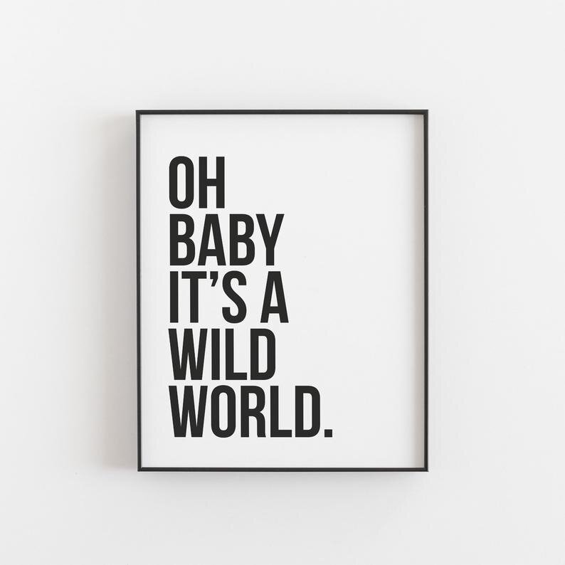 oh baby its a wild world print