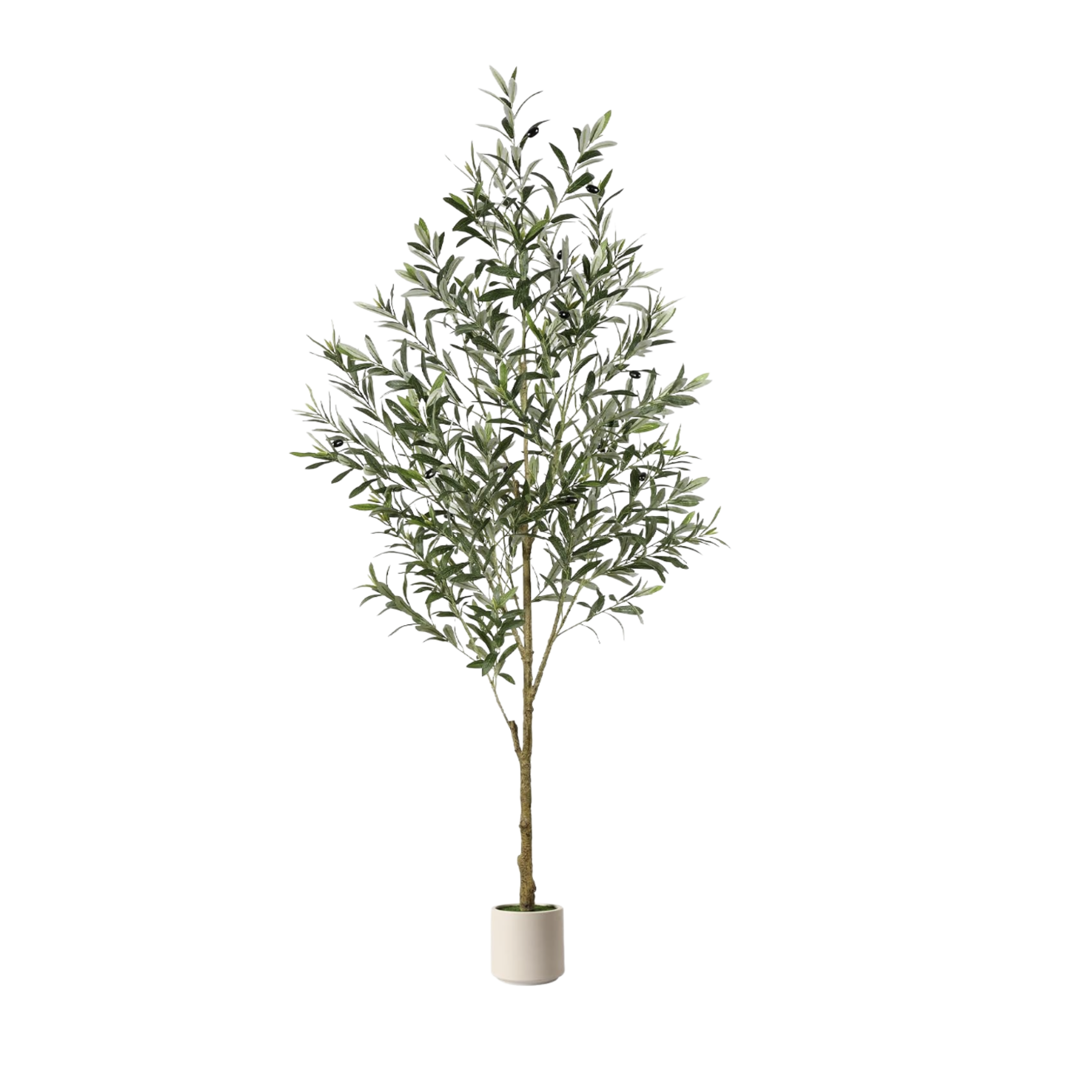 Untitled design (5).png