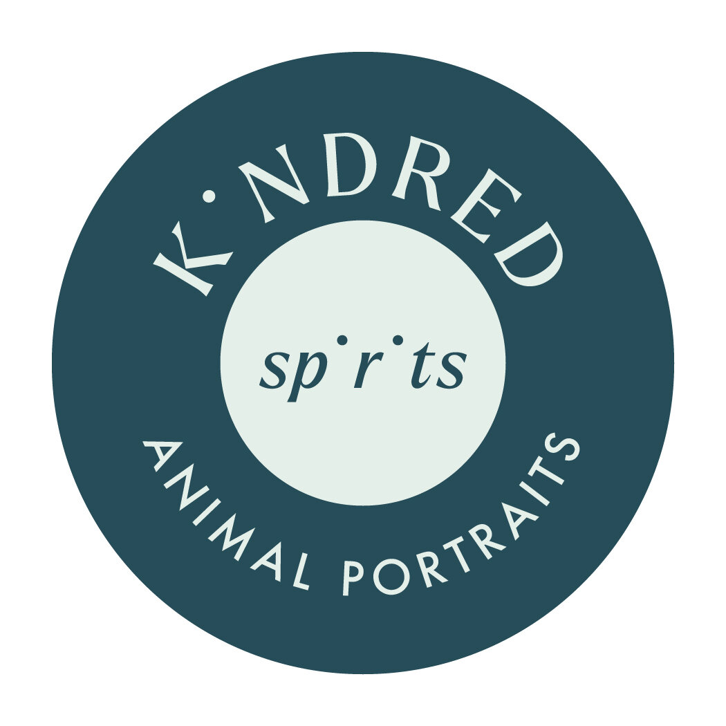 Kindred Spirits Animal Portraits