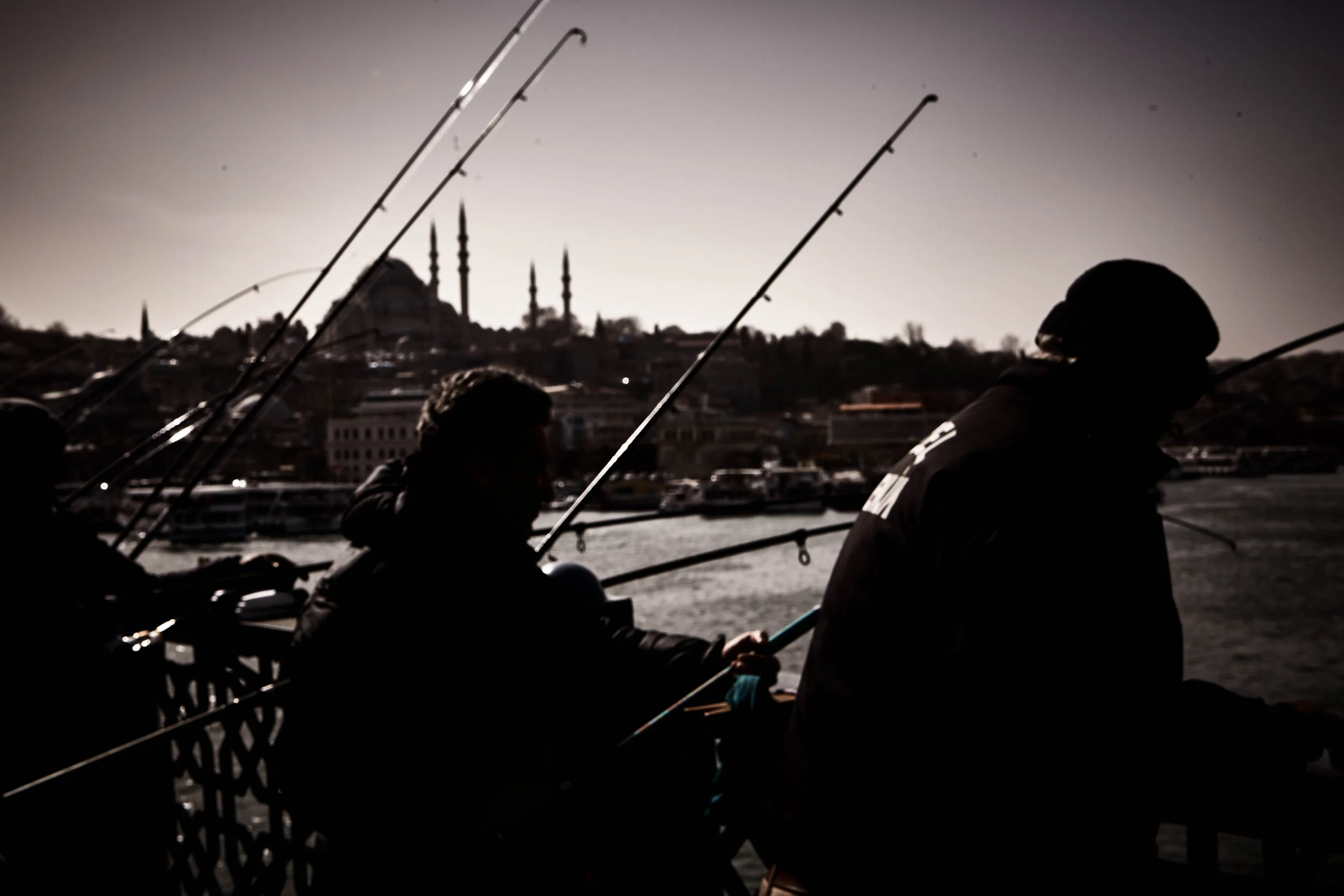 _MG_6699.jpg