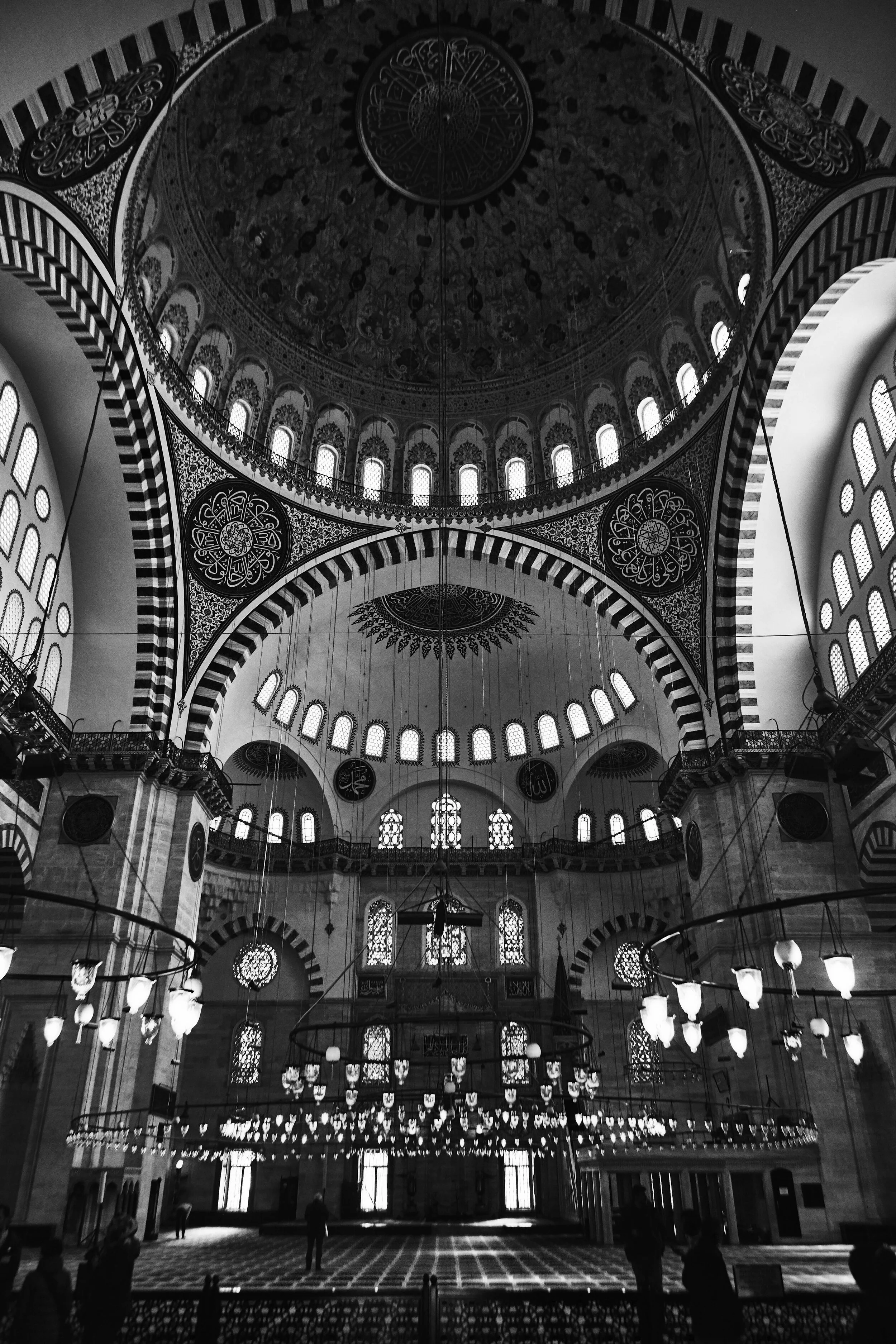 _MG_6750.jpg
