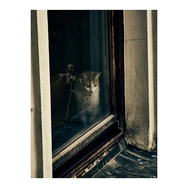 Meanwhile, I continue here my journal

2018, a year of big resolutions, from the first day in &ldquo;Constantinople&rdquo; I felt a life change. 
With my landing I brought the first and only snow of that year, settled and overwhelmed with the feeling