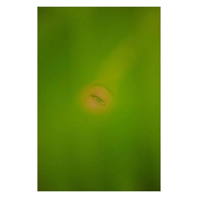 Green. Blood. Earth. Air. Water. The unmeasurable energy flowing from the skies to the core. Bringing beauty to life, and life to beauty-
All is beautiful and necessary