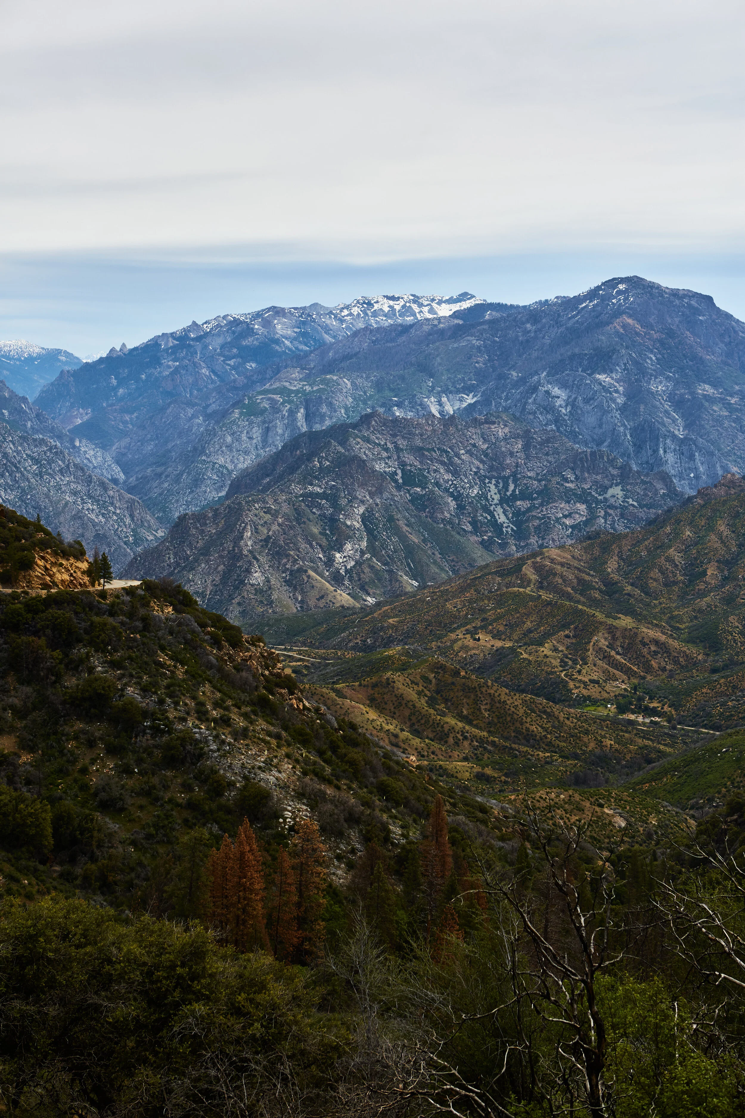 _MG_3460.jpg