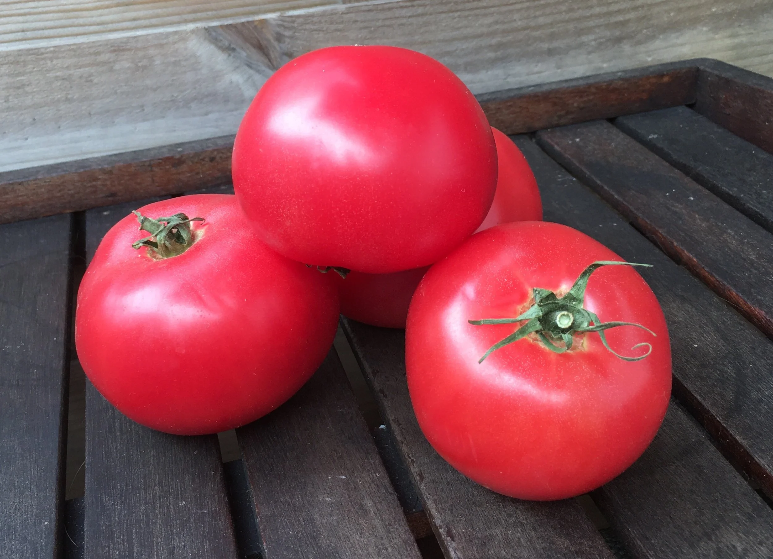 Rose de Berne - Tomato