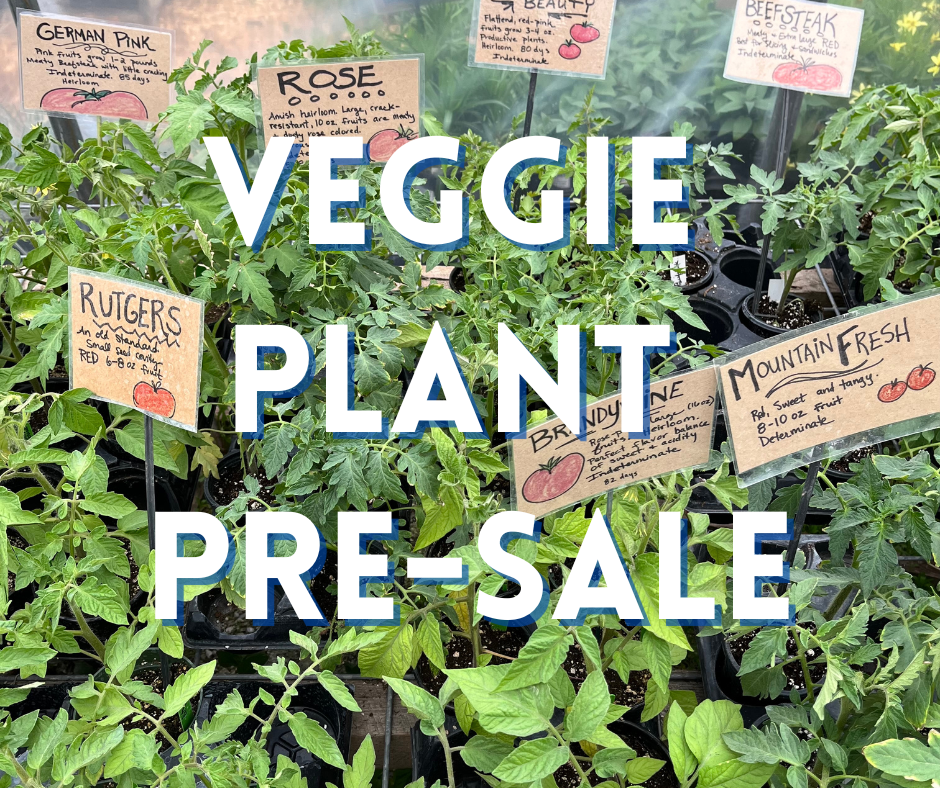 Veggie Plant Pre-Sale 