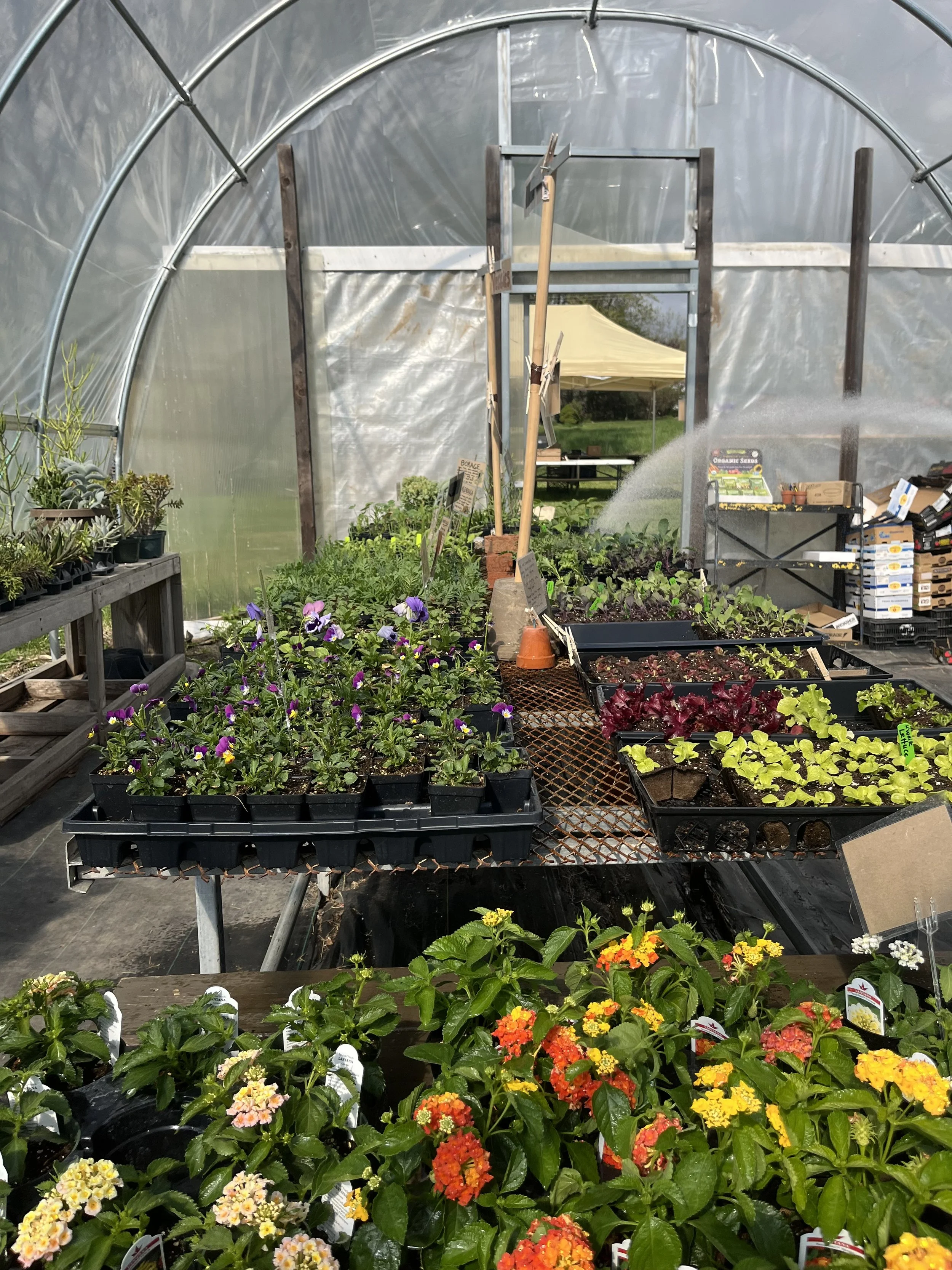 Plant Sale