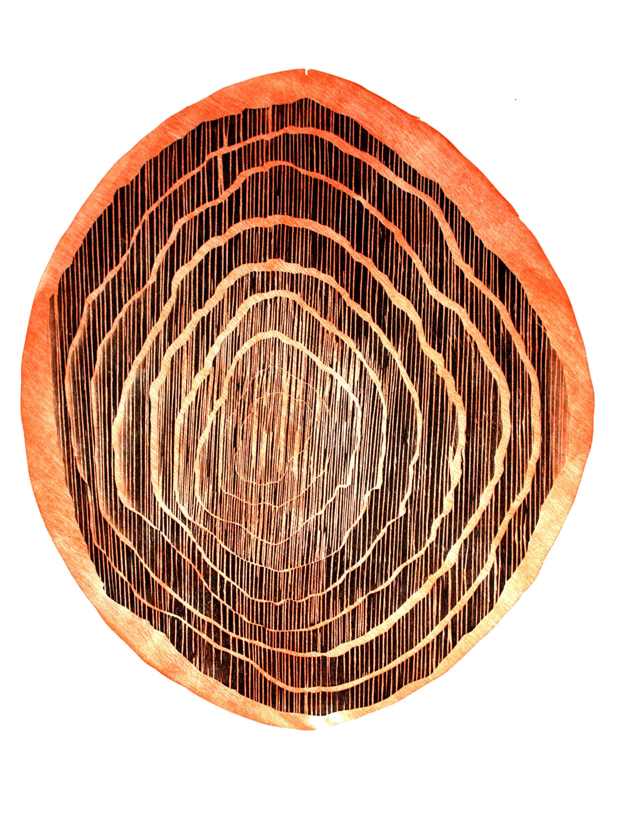  Tree Section Two  2014 - Woodcut - 76 x 56 cm Edition of 5 