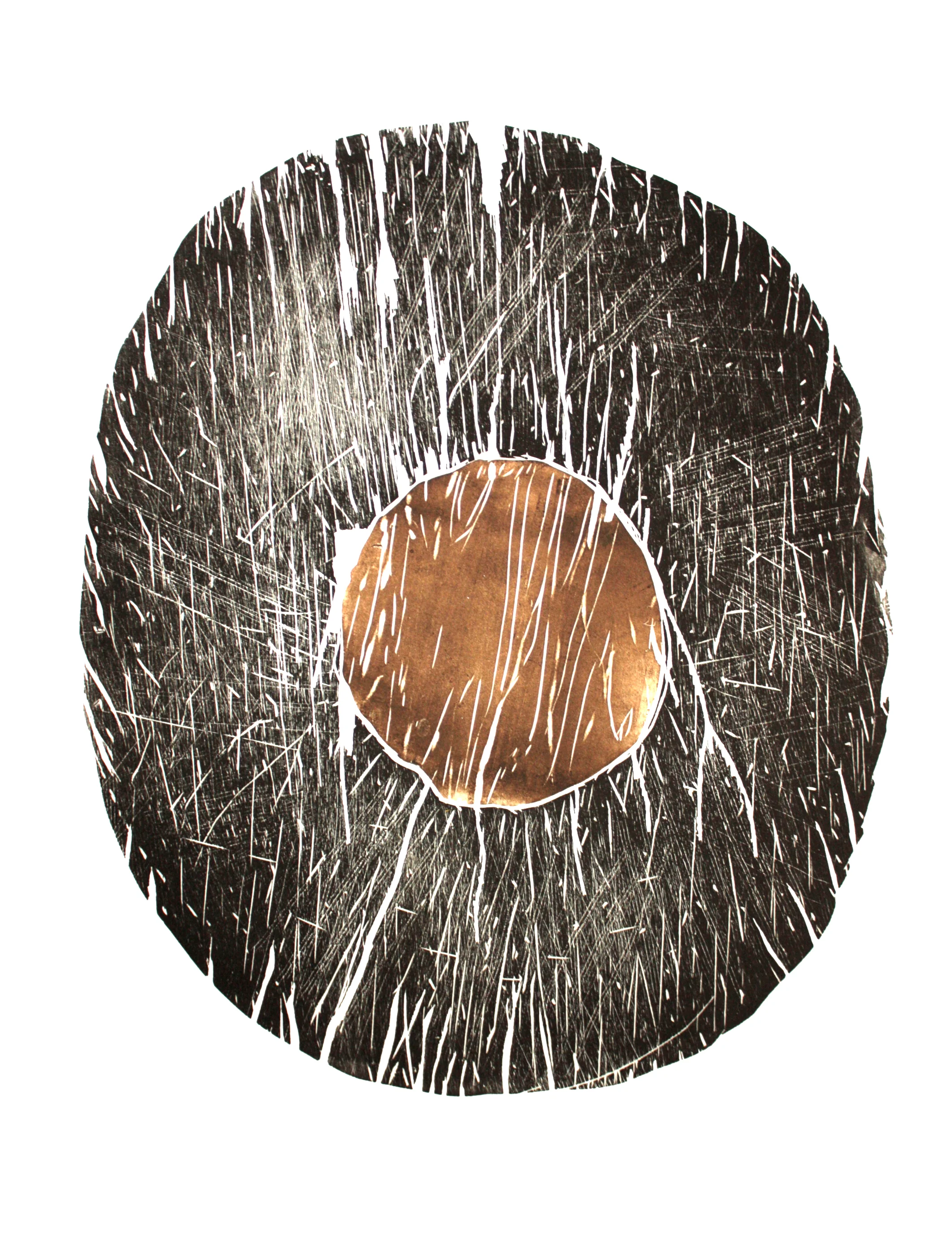  Tree Sections 2014 - Woodcut - 76 x 56 cm Edition of 5 