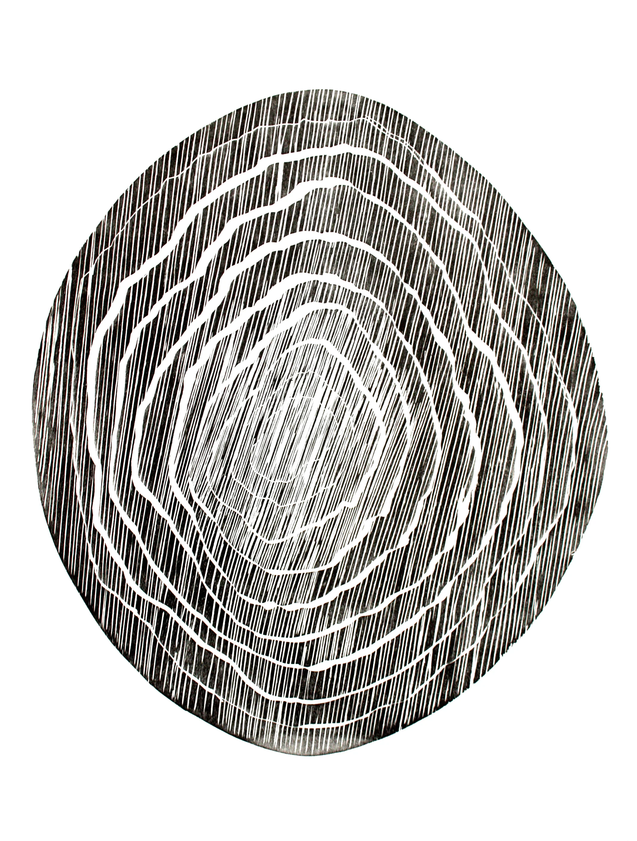  Black Trunk Section  2014 - Woodcut - 76 x 56 cm Edition of 5 