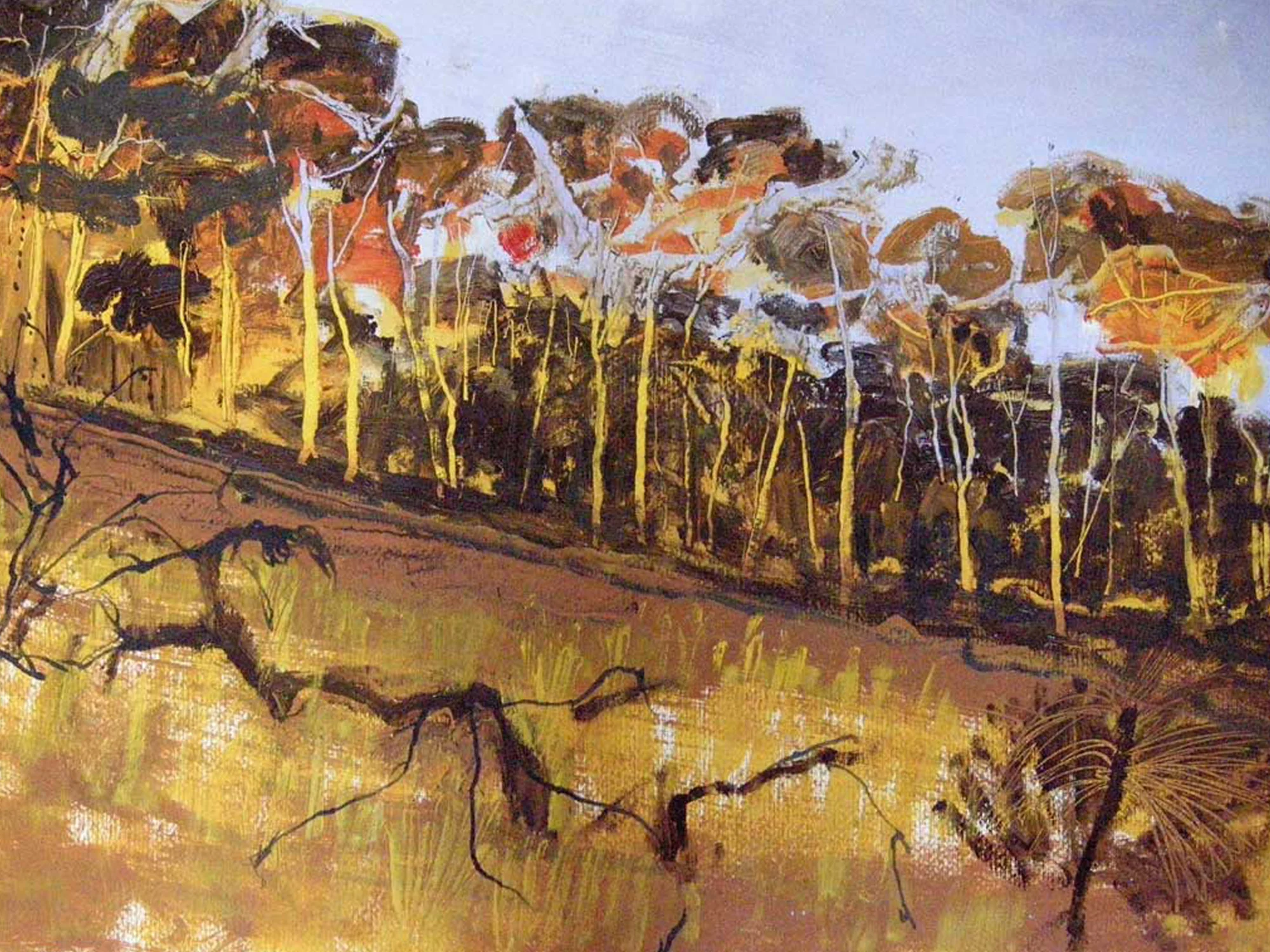  Australian Bush Trees 2009 - Oil Paint on Paper - 50 x 70 cm 