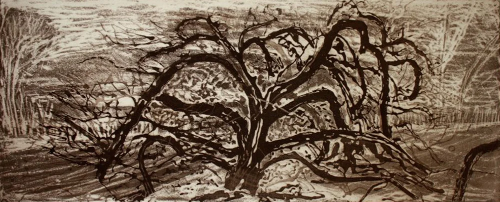  Dead Tree SW Australia 2007 - Etching - 20 x 49 cm Edition of 10 