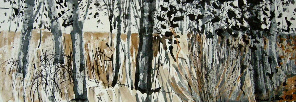  ood Series Drawing 1 2008 - Ink Drawing - 22 x 59 cm 