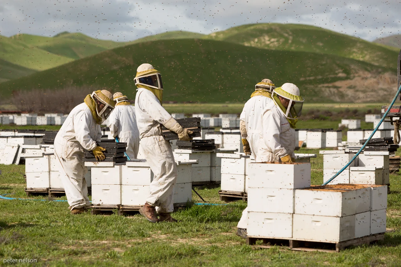 BeekeepersAdee_GI7A1343.jpg