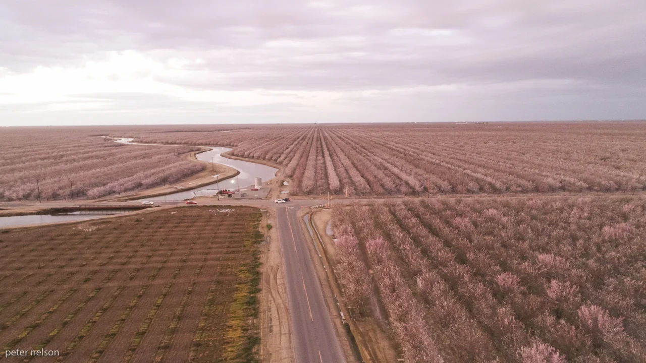AlmondAerial_DJI_0027.jpg