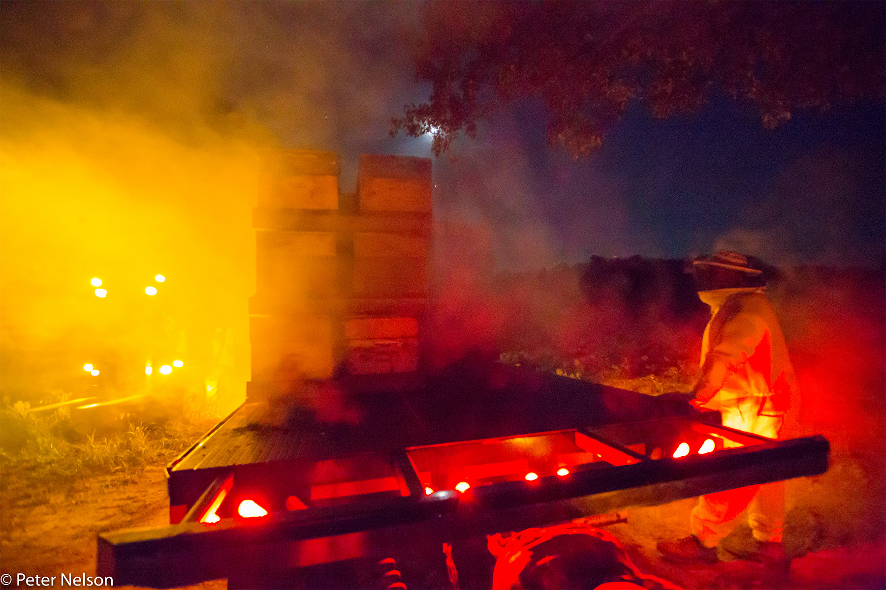ThePollinators__0005_DaveyHackenbergPumpkinsSmokeTruck-7_16_GI7A9050.jpg