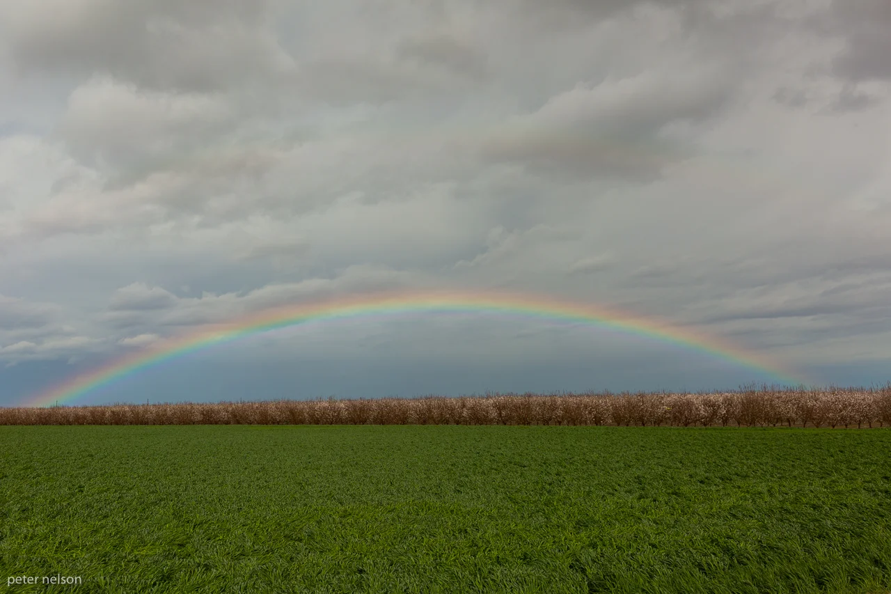 RainbowAlmonds_GI7A2284.jpg