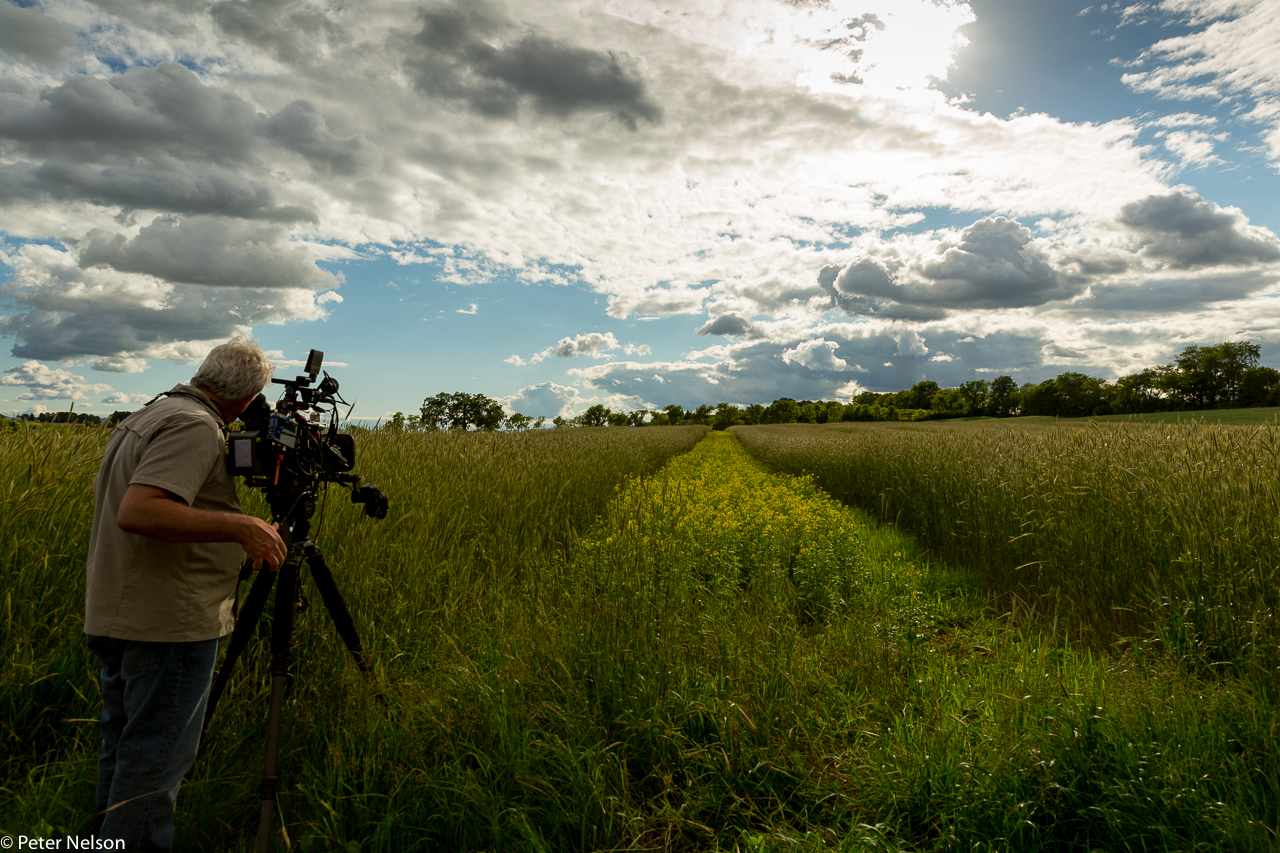 PeterNelson_Farm_1_GI7A2706.jpg