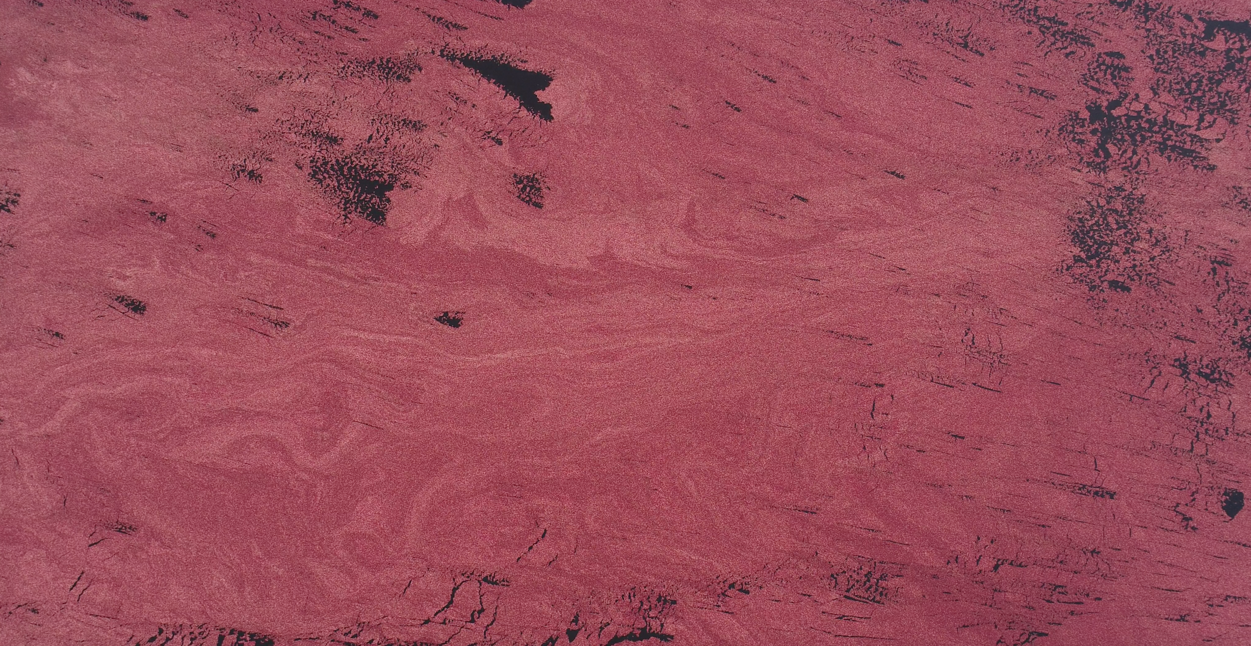 CranberryTexture.jpg