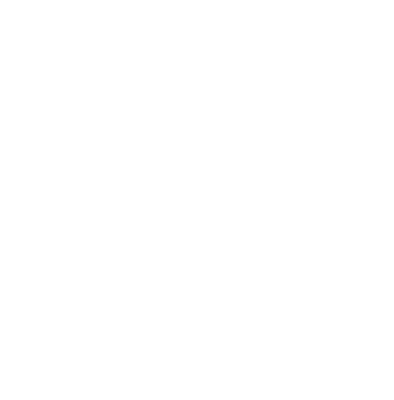 2019 Woodstock logo white.png