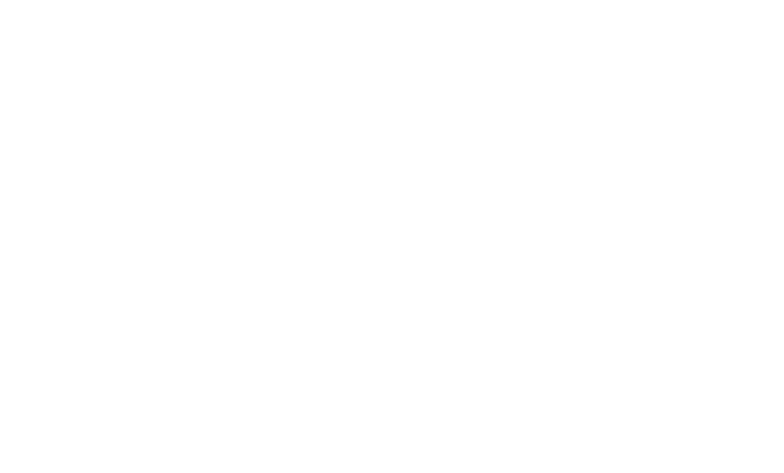 BIG SKY Official Selection Laurels 2019_white.png