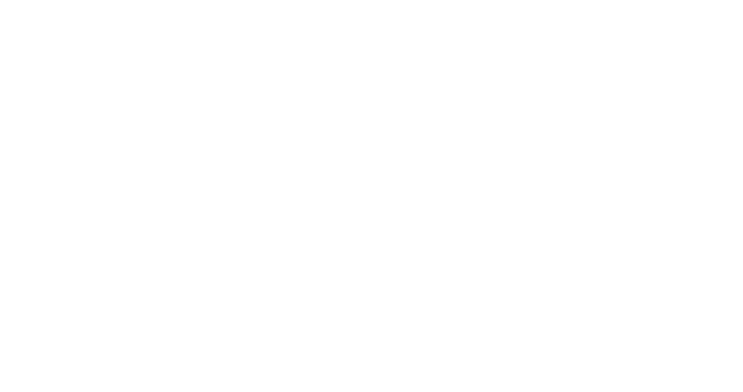 HIFF2019-OS-Year_white.png