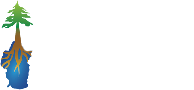taho film festival_rev.png