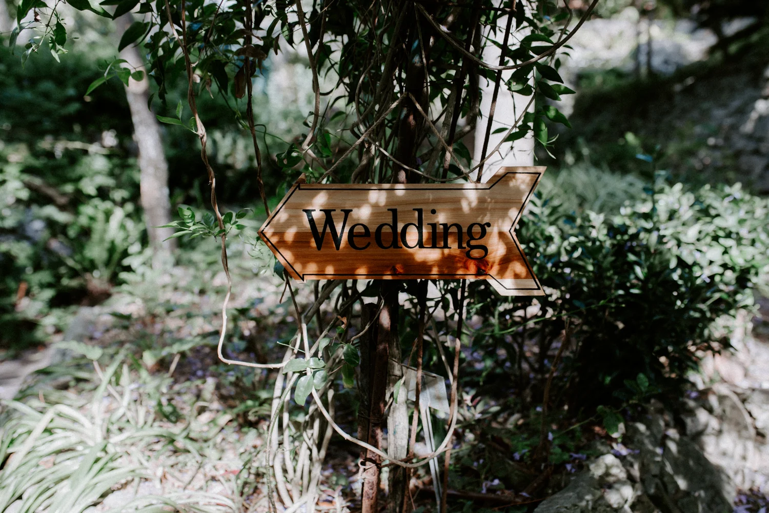 botanic gardens ceremony in Gibraltar, Gibraltar, UK-1.jpg