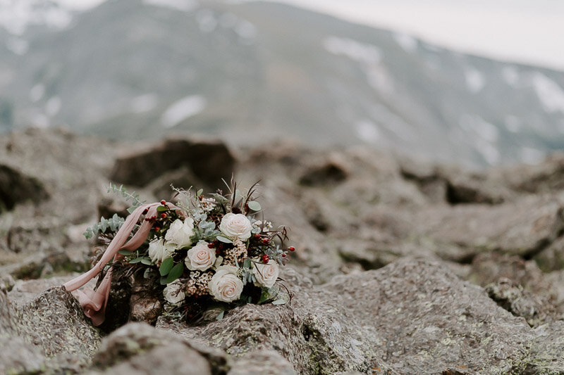 Trail Ridge Road Rocky Mountain National Park elopement by Colorado Wedding Photographer Diana Coulter-43.jpg