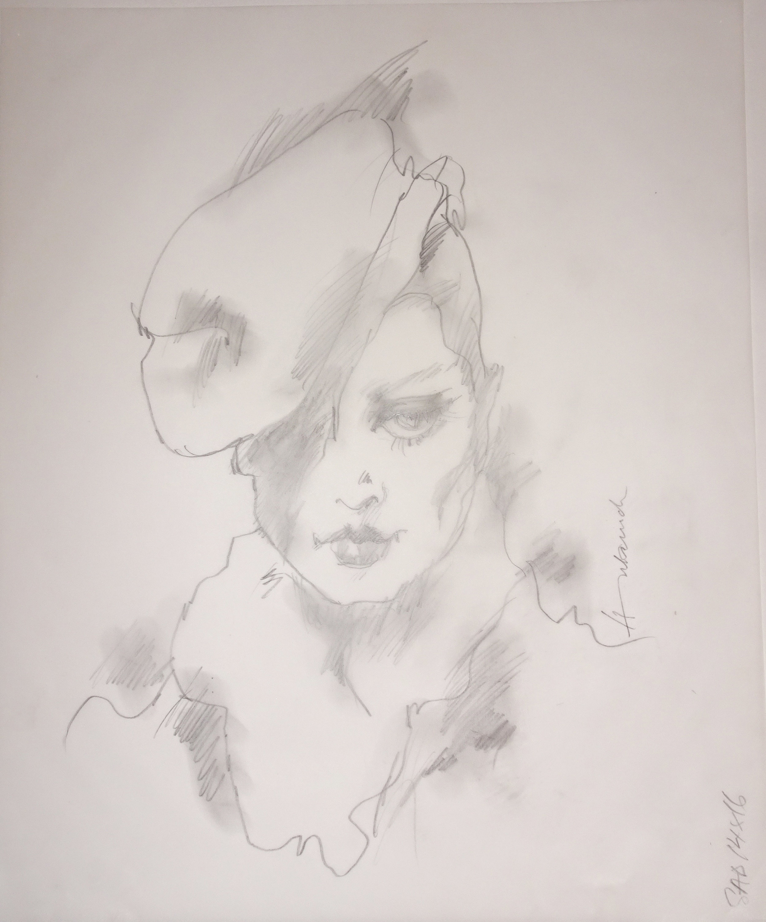 Veiling by Barbara Hulanicki