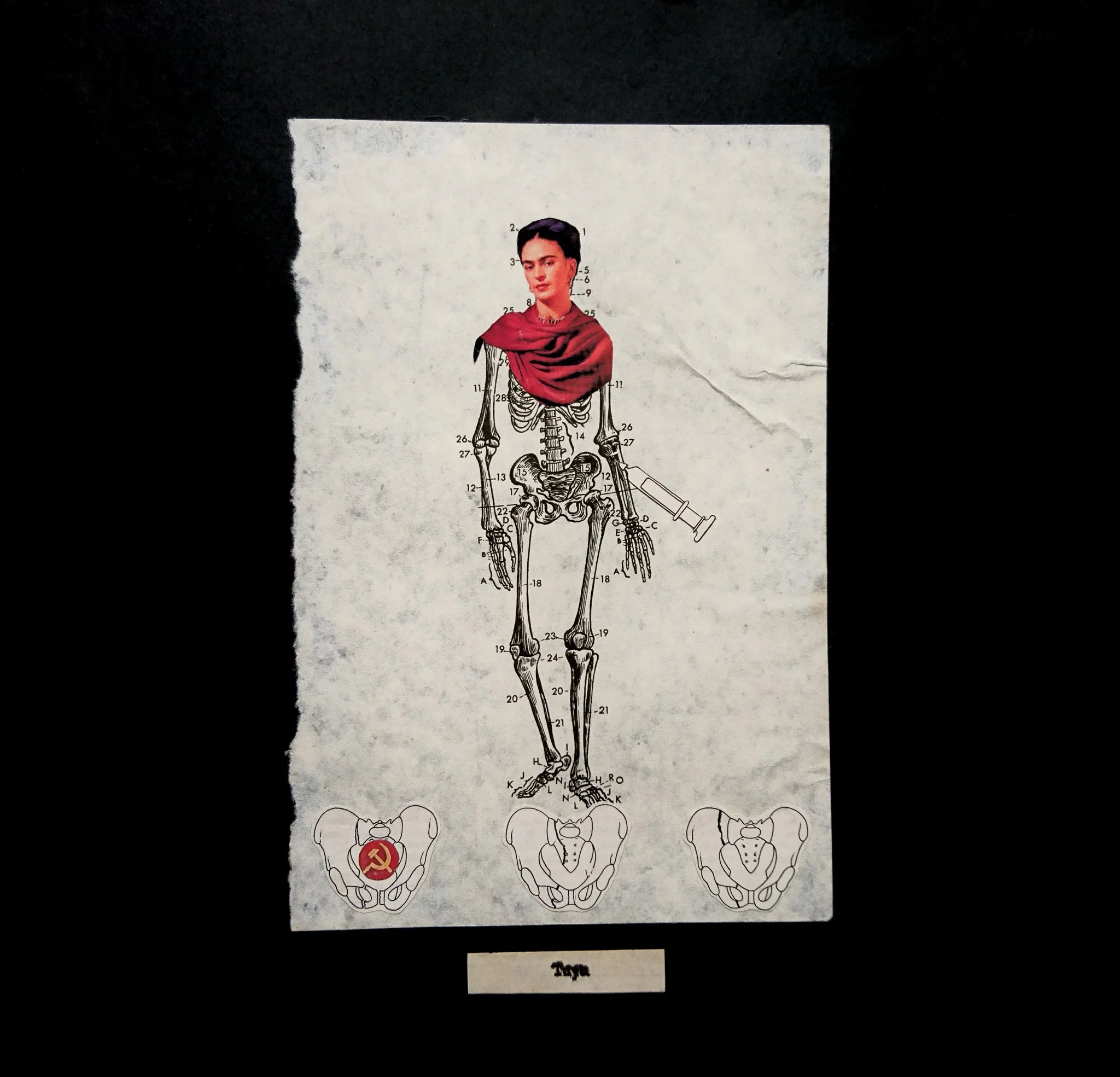 A collage titled Tuya, representing Frida Kahlo's head on the body of a skeletal anatomical drawing, with hip bones beneath it containing the soviet hammer and sickle, by Cuban contemporary conceptual artist, Wanda Fraga Sánchez de la Campa.