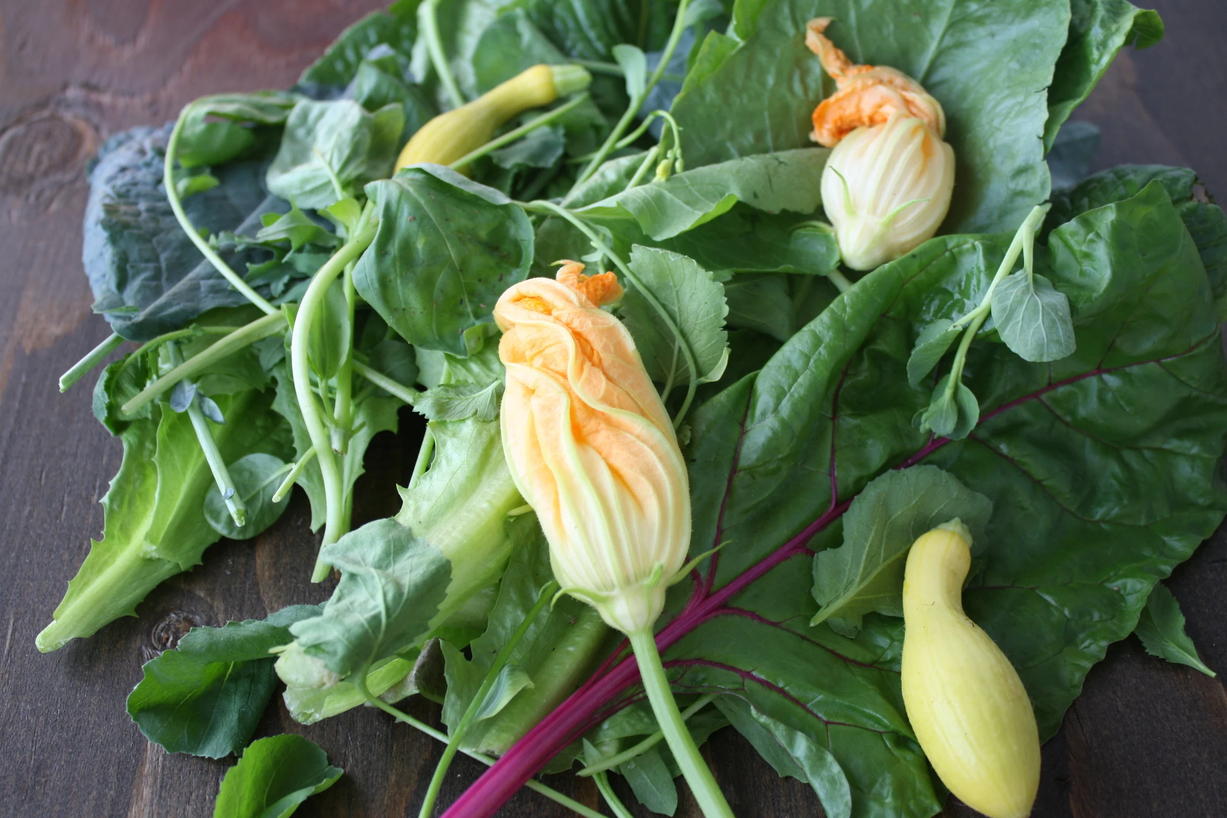 I'm Not a Gardener. And That's Okay. 