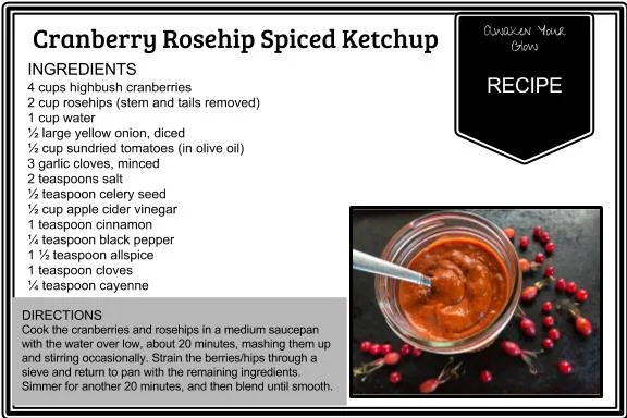 Cranberry Rosehip Spiced Ketchup .jpg