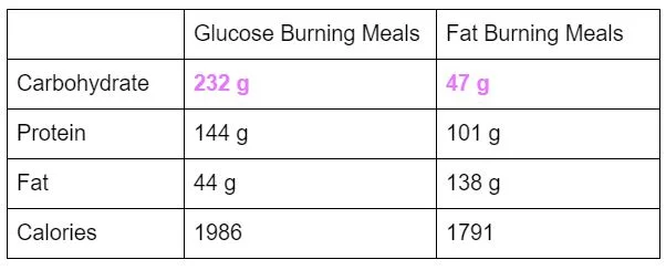 Back to Basics Part 3: Carbohydrates 