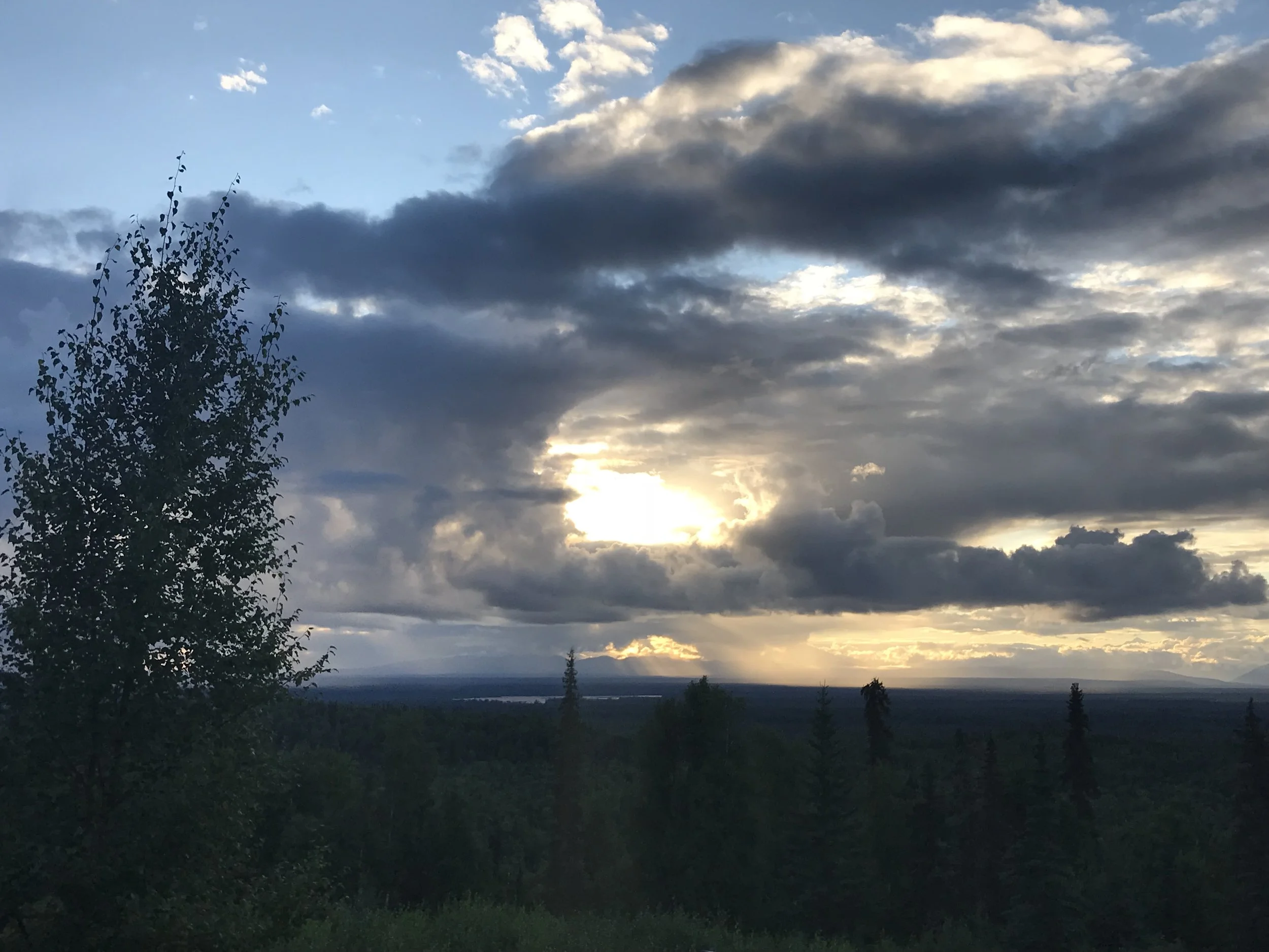 Awakening Radiant Health Part 5: You are the Light