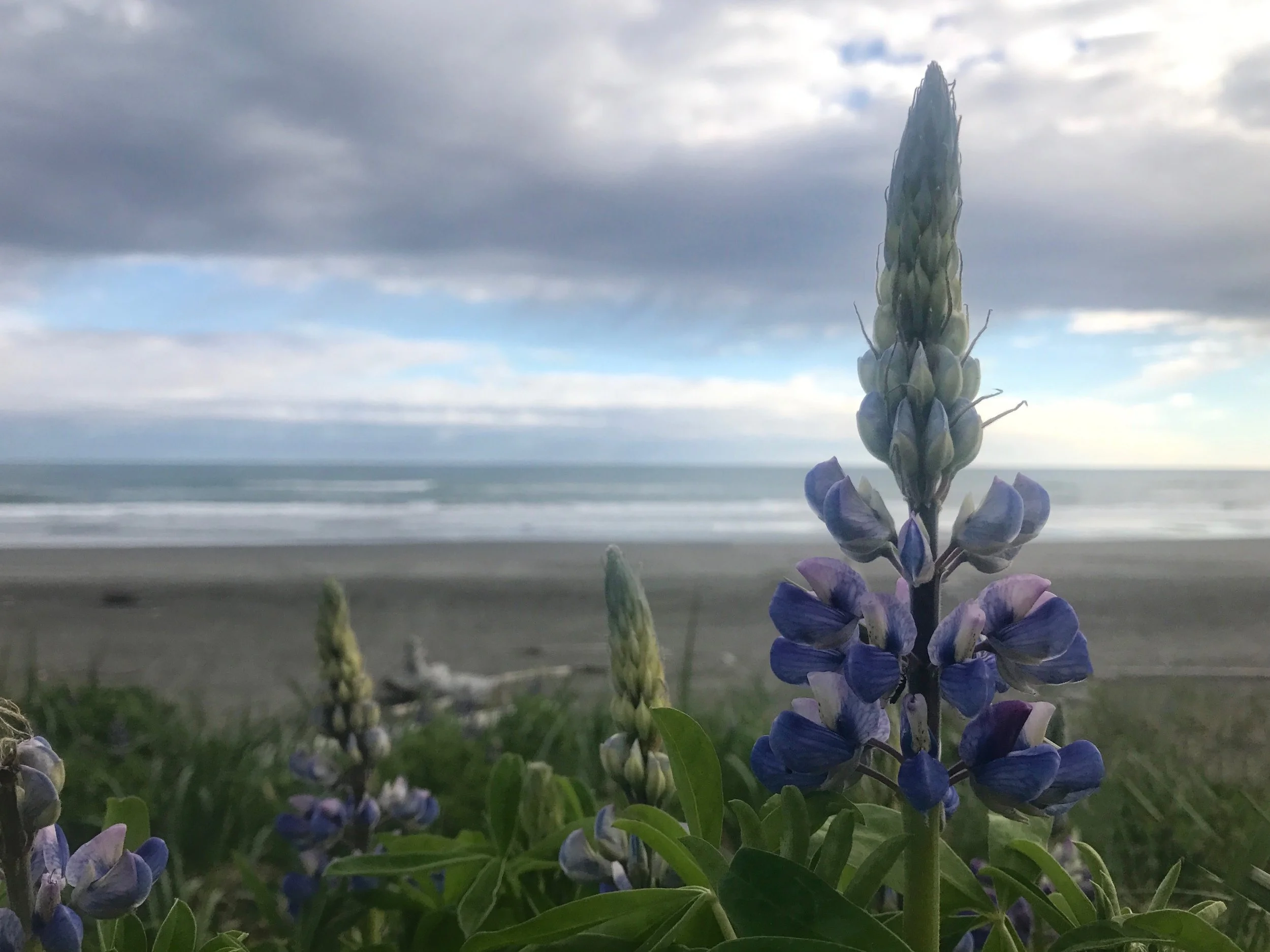 Creating Your Beautiful Body for Life 