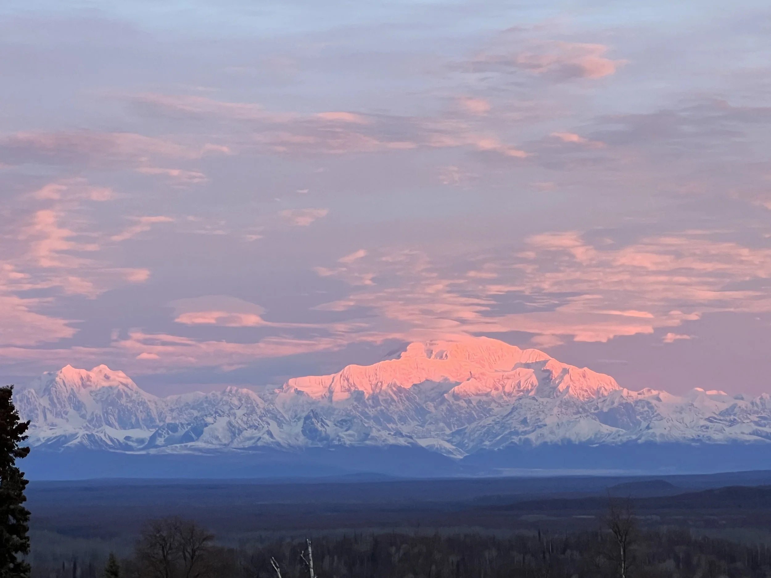 Futuring the Now Podcast: Journal Prompts