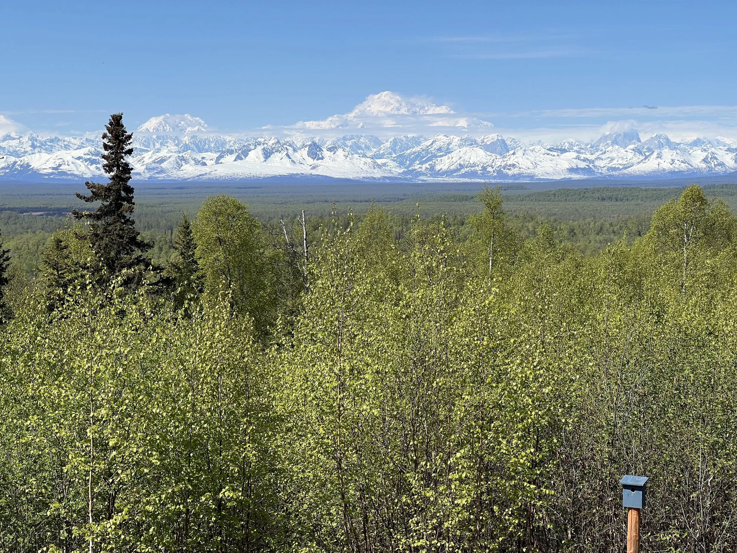 Stop Comparison. Period.