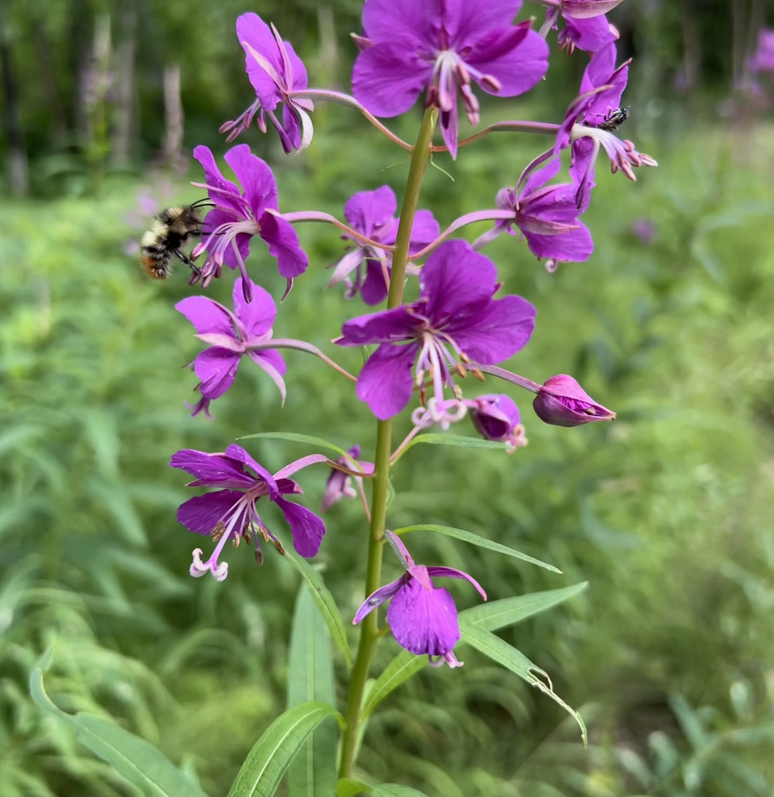 Creating Your Story for Radiant Aging