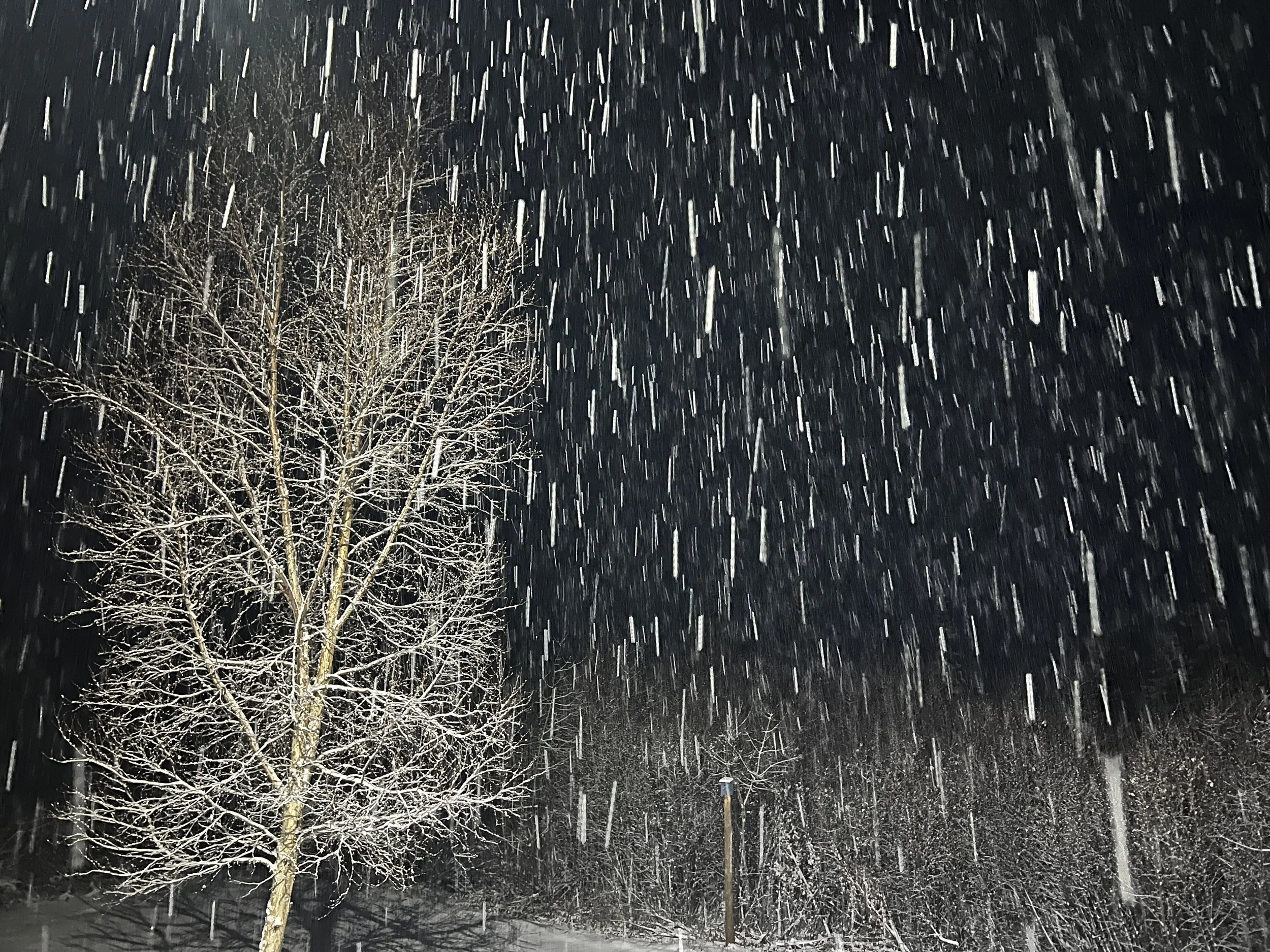 Journaling with Fear/Shame/Judgements About Food