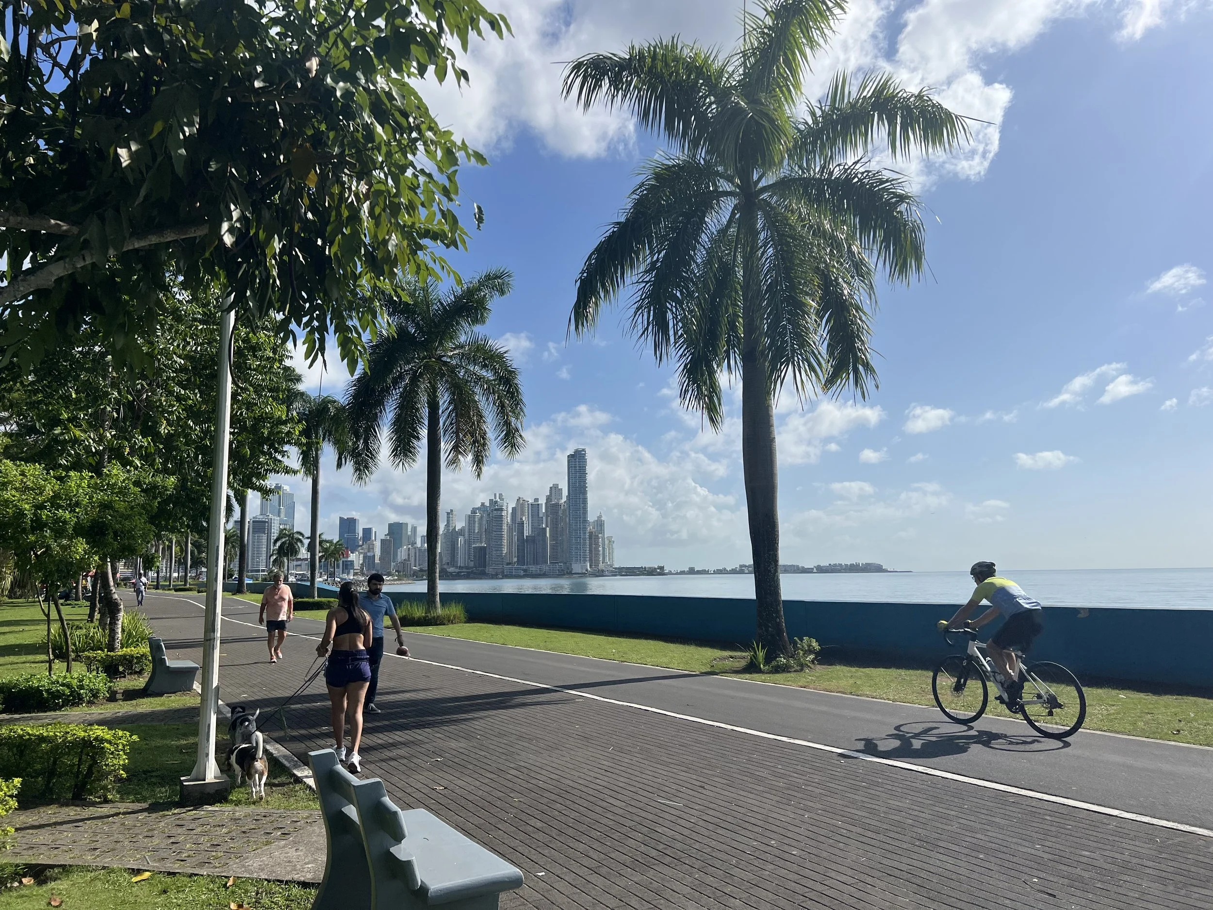 Are You Taking Refuge in Security? 