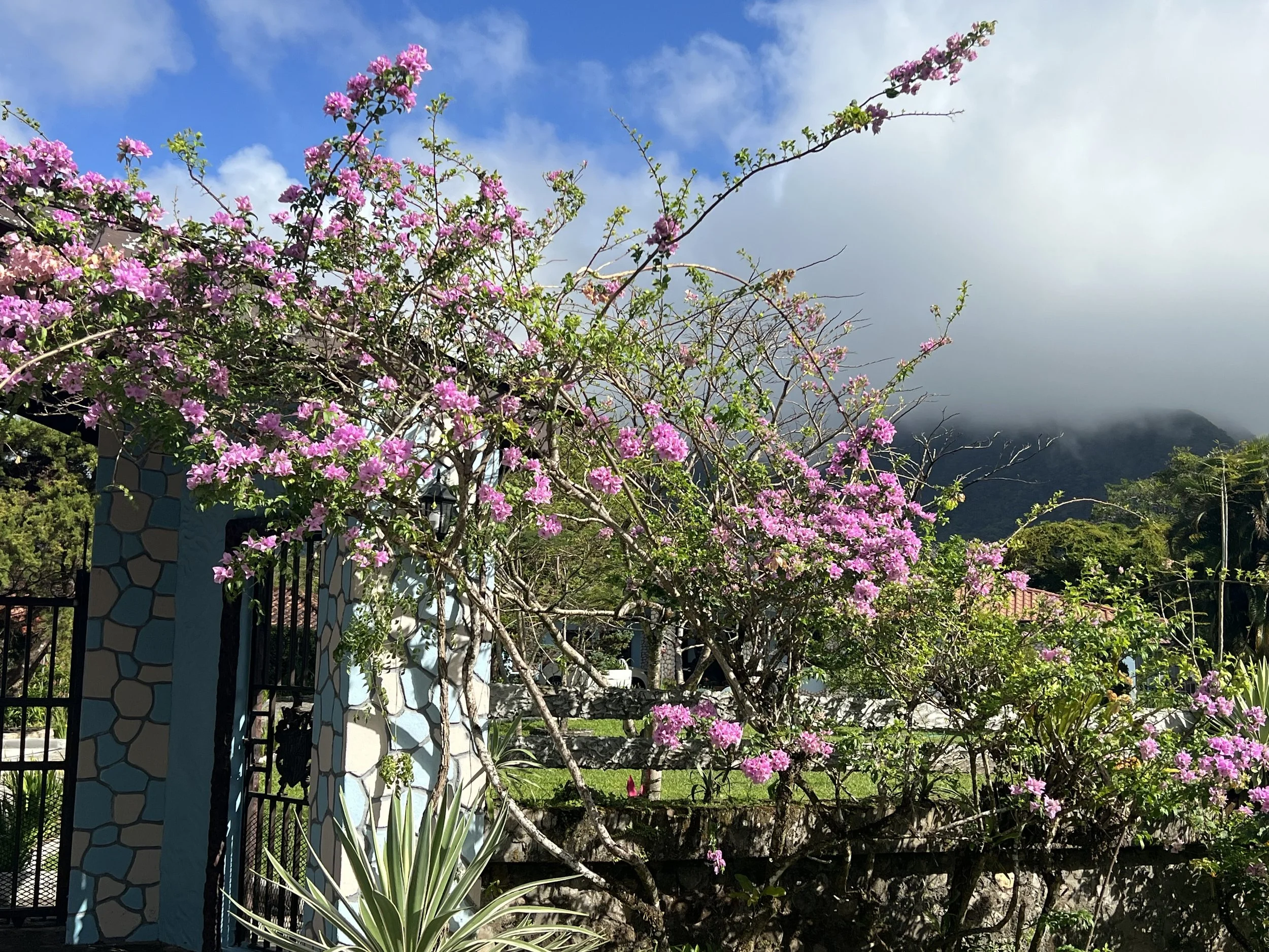 No Worries, My Love! 